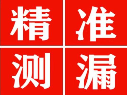 凤泉尚嘉漏水精准查找