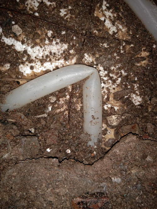 凤泉堵点精准查找